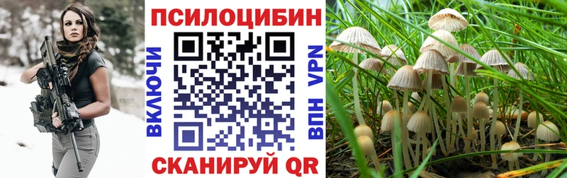 где купить   Гурьевск  Галлюциногенные грибы GOLDEN TEACHER 