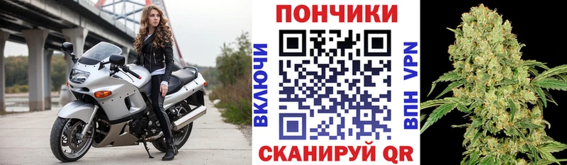 Конопля гибрид  цены   Гурьевск 